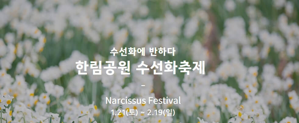 제주 한림공원 수선화 축제가 23년 1월 21일부터 2월 19일까지 제12회 수선화축제를 개최합니다.