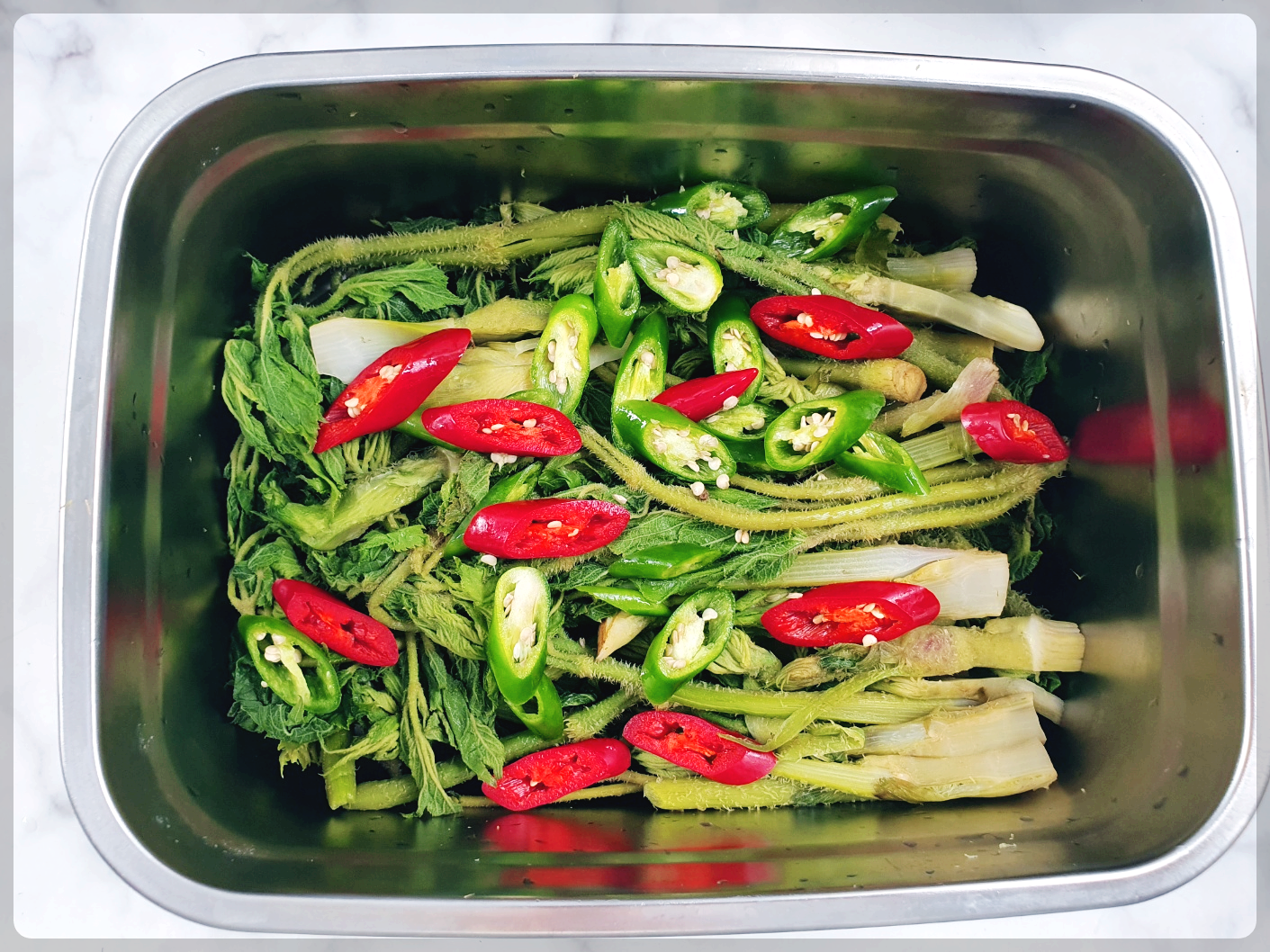 두릅 장아찌 황금레시피 두릅 장아찌 담는법 