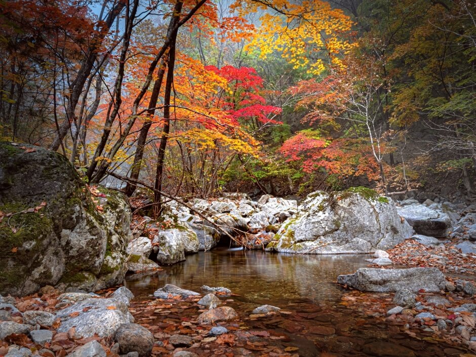 화천 가볼만한곳 베스트 10