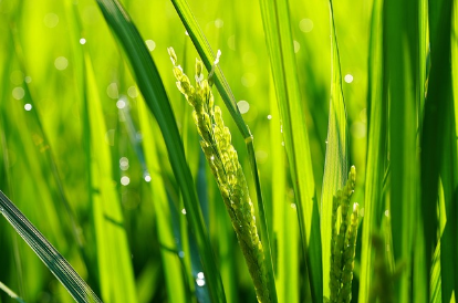 digital wellbeing habits for teenagers