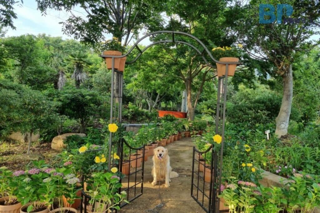 장흥-정남진수목원