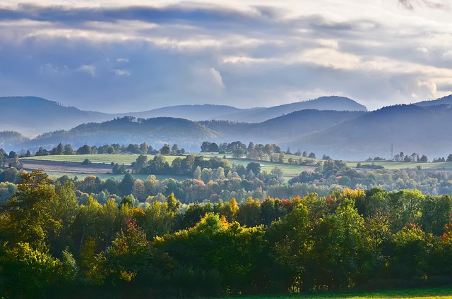 퇴행성 관절염 완치하는 최고의 비법 12