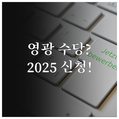 영광군 청년 취업수당 2025 분기별..