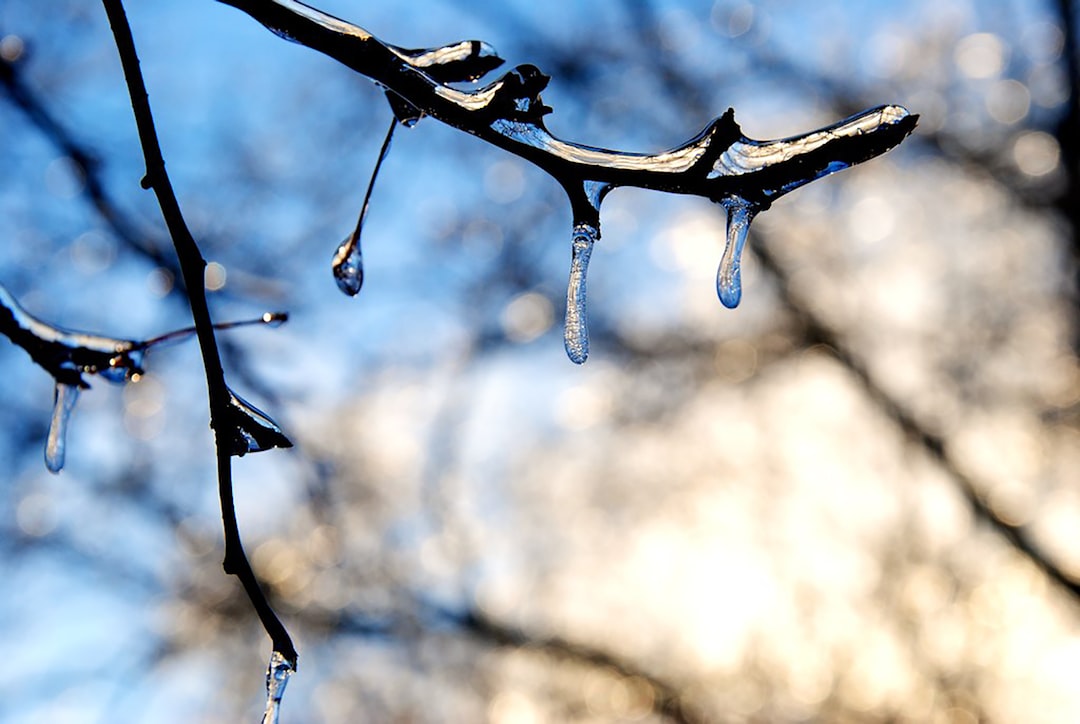 Frozen