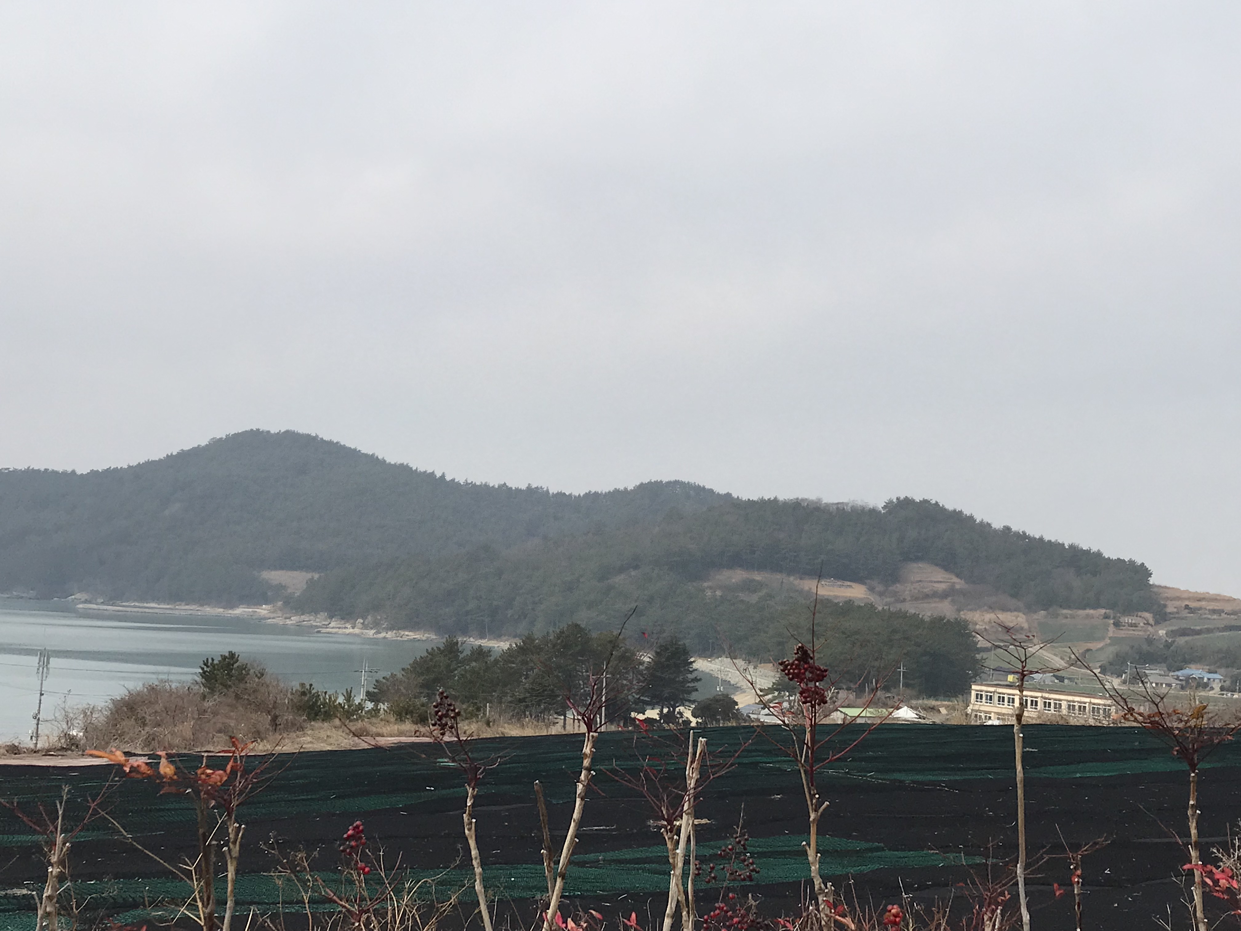 멀리서 보이는 연소 해수욕장