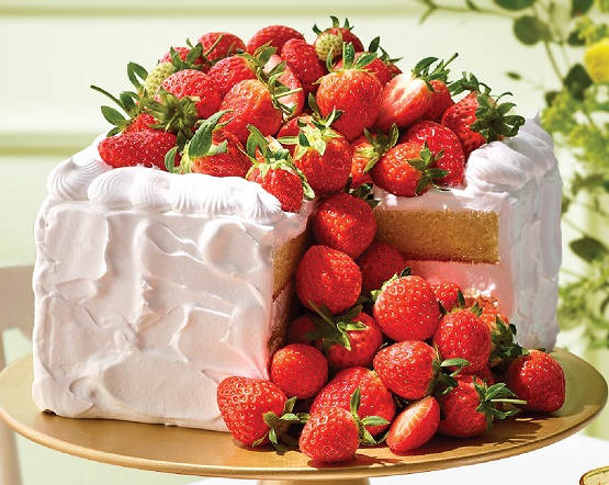 애슐리 딸기 축제