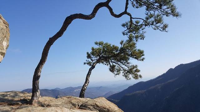 2025 여름맞이 숙박세일페스타 펜션 할인 총정리