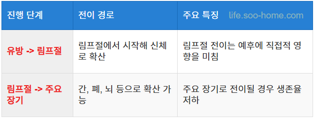 유방암 3기의 진행과 전이 경로