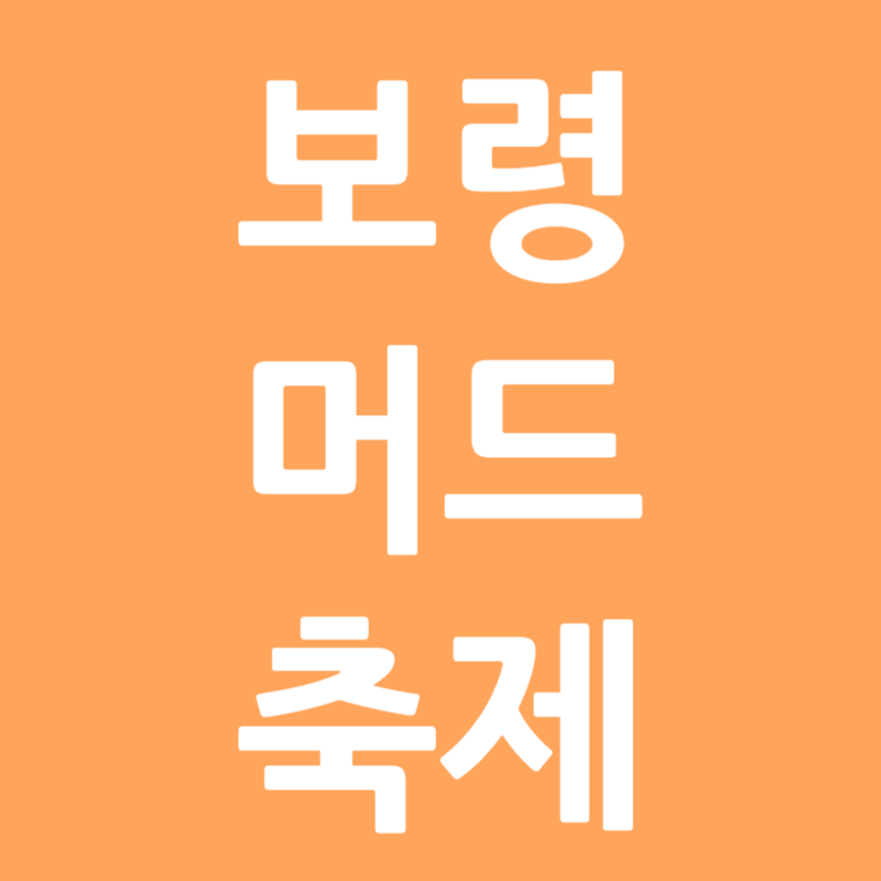 보령 머드 축제