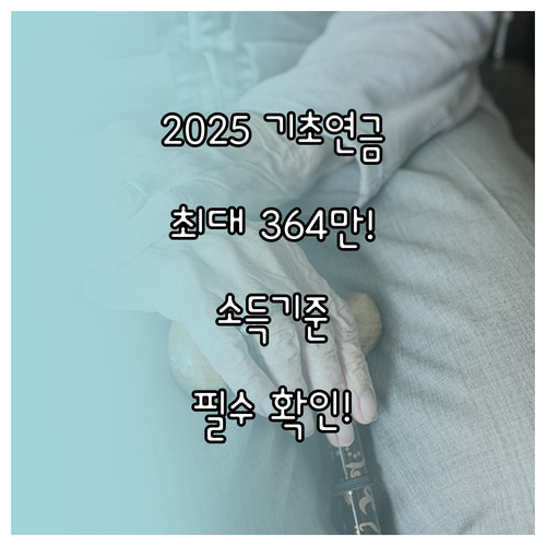 2025 기초연금 단독 228만원 부..
