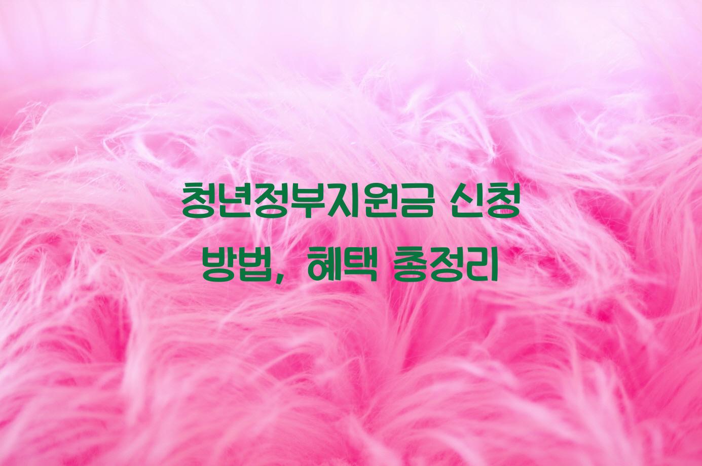 청년정부지원금