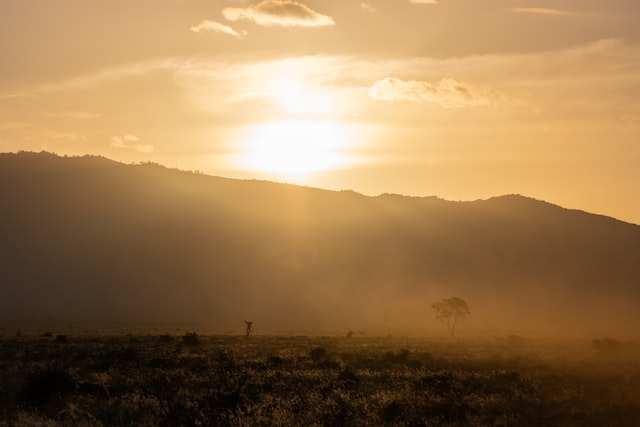 미세먼지-대기오염-환경오염-공기정화