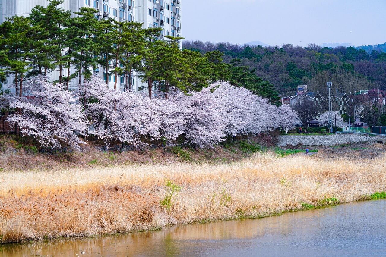 석촌호수축제일정&숙소best5