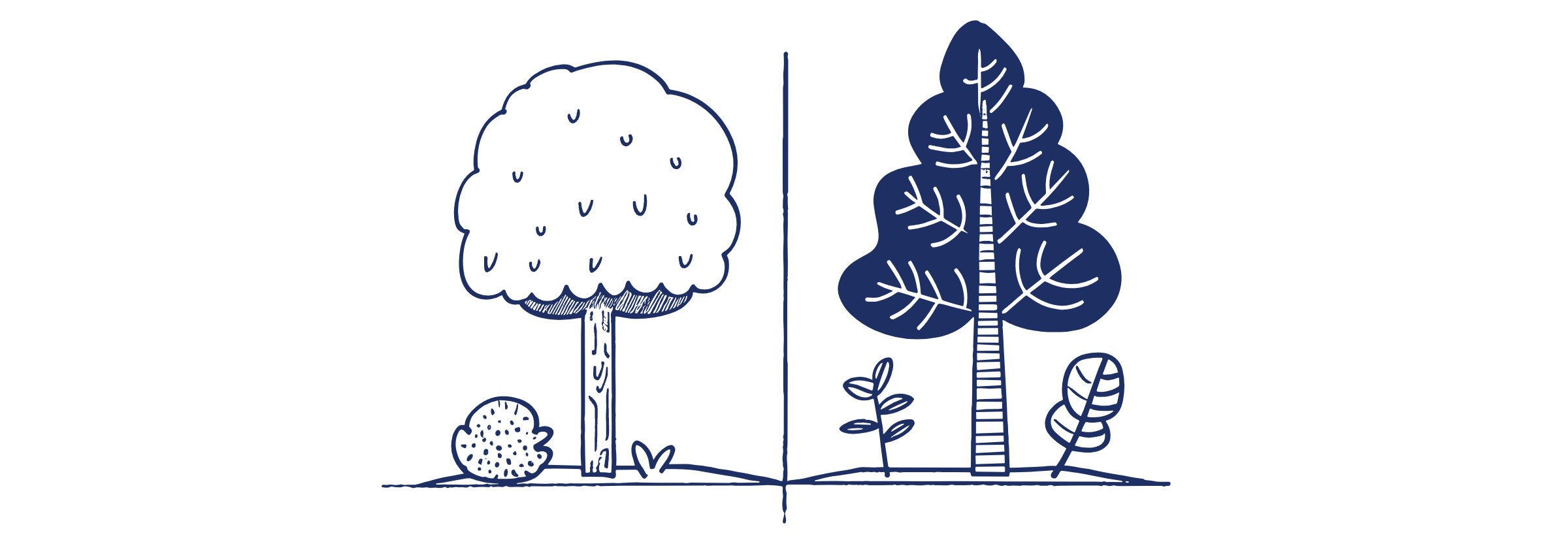 공직자 재산공개 사이트