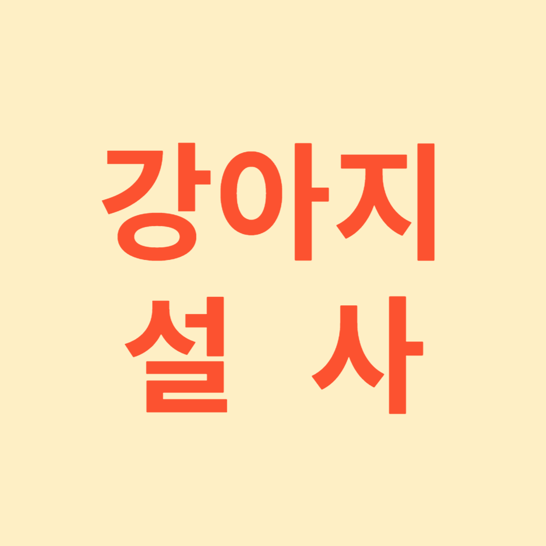 강아지 설사