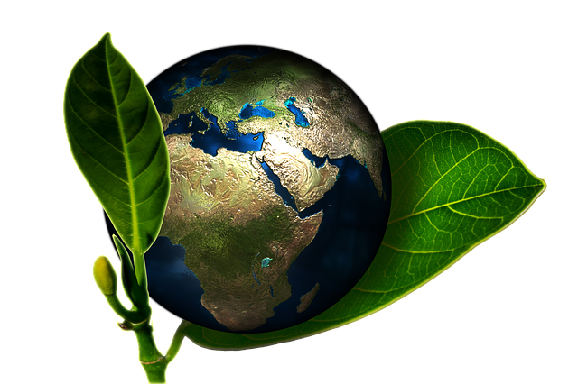 데이터 기반 환경 정책 전문가, 환경 설계, 녹색 전략가