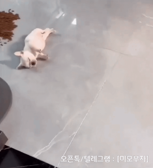 2월 13일 화 신문스크랩