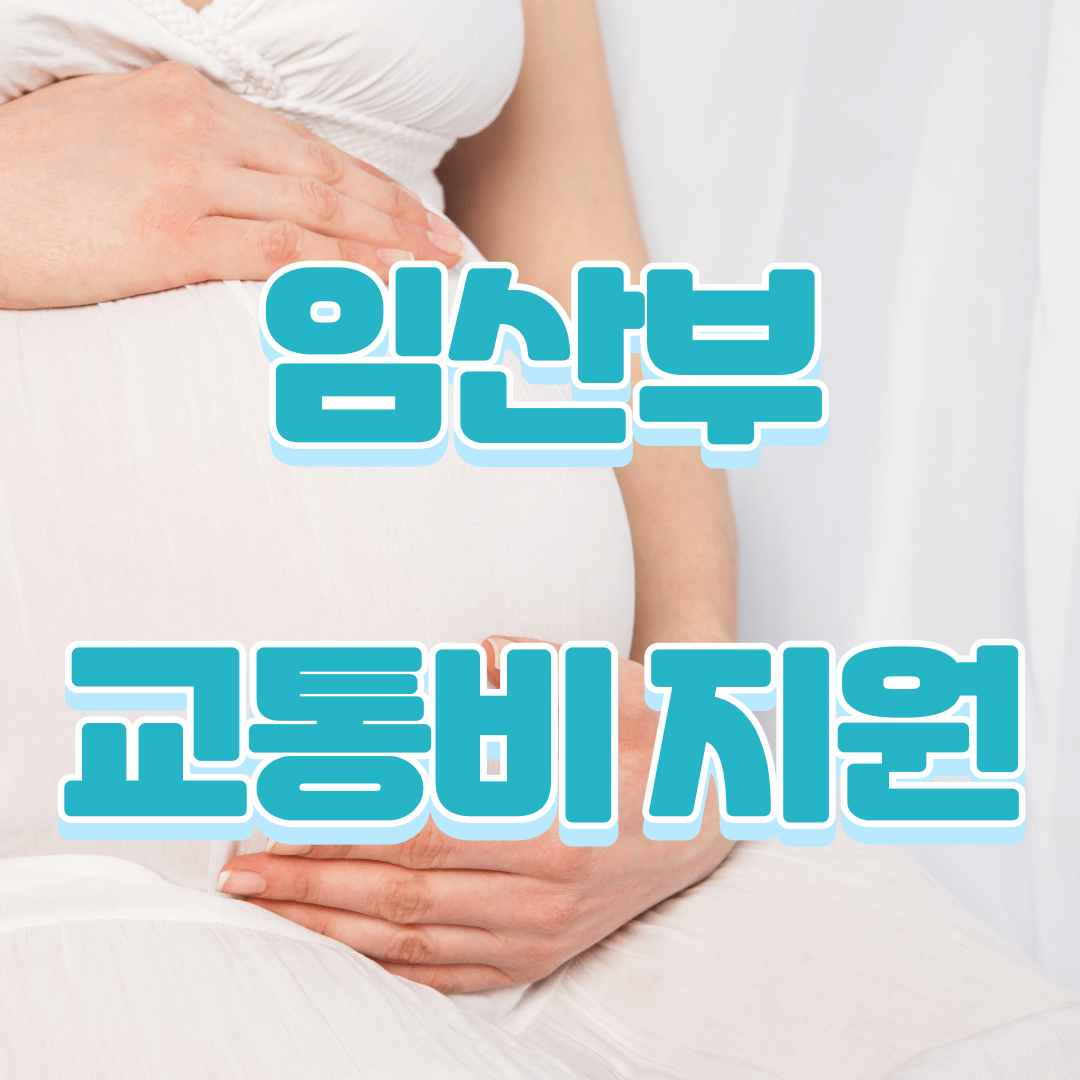 임산부교통비지원