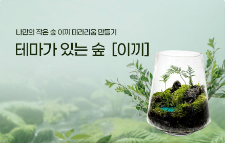 이끼