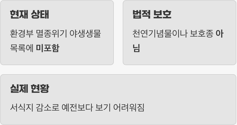 그래서, 멸종위기종일까요?