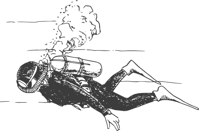 2024년 파리올림픽 중계보기