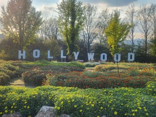 가평 자라섬 꽃축제 입장료 가는길 주차 최신정보