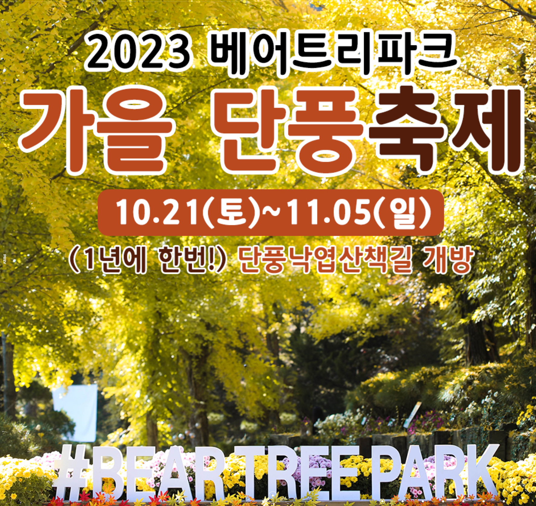 2023년 10월 11월 전국 가을 단풍 축제 BEST5