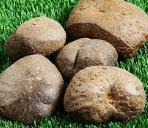 하늘마 먹는법 효능 부작용