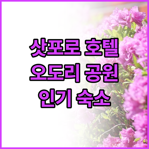 삿포로 호텔 추천 오도리 공원 근처 ..
