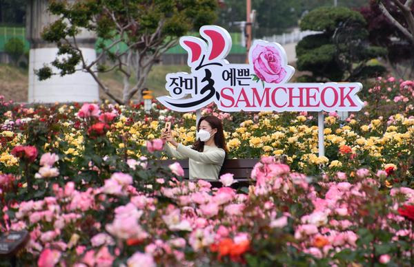 삼척 장미축제 일정 꽃길 따라 봄여행