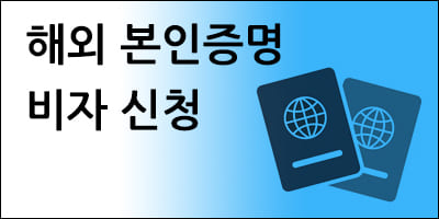해외 사용