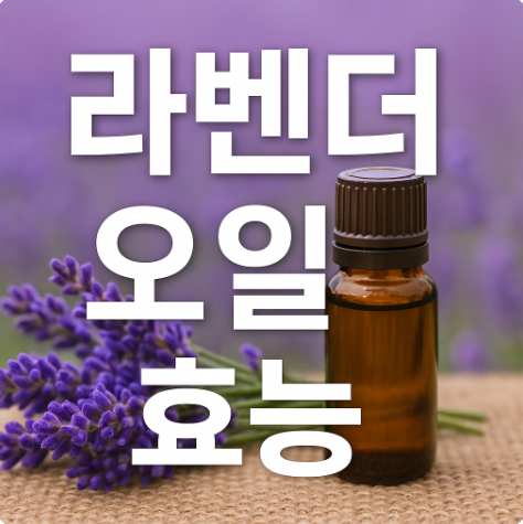 라벤더 오일 효능