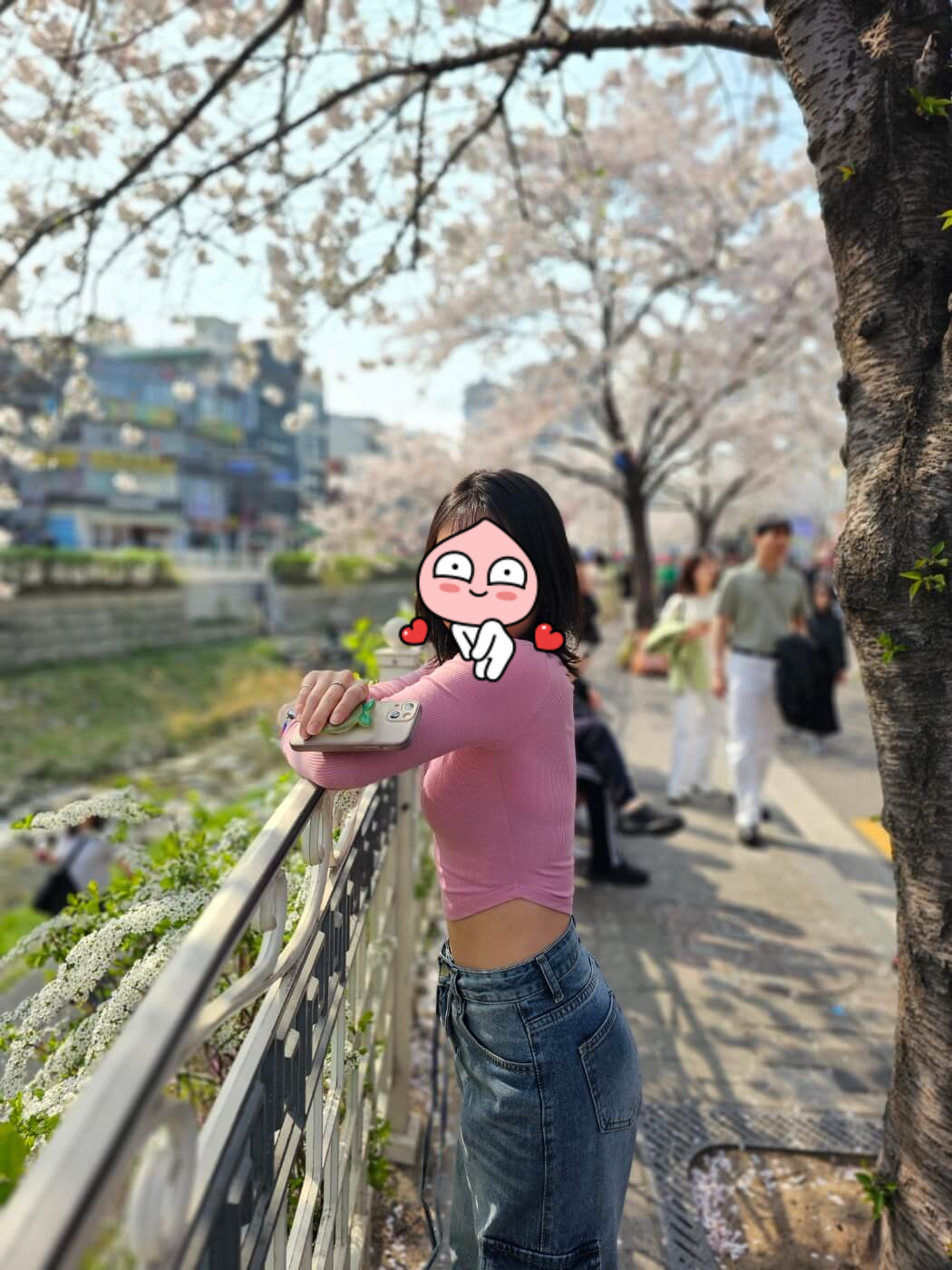 서울시내벚꽃명소 성북천에서 벚꽃놀이