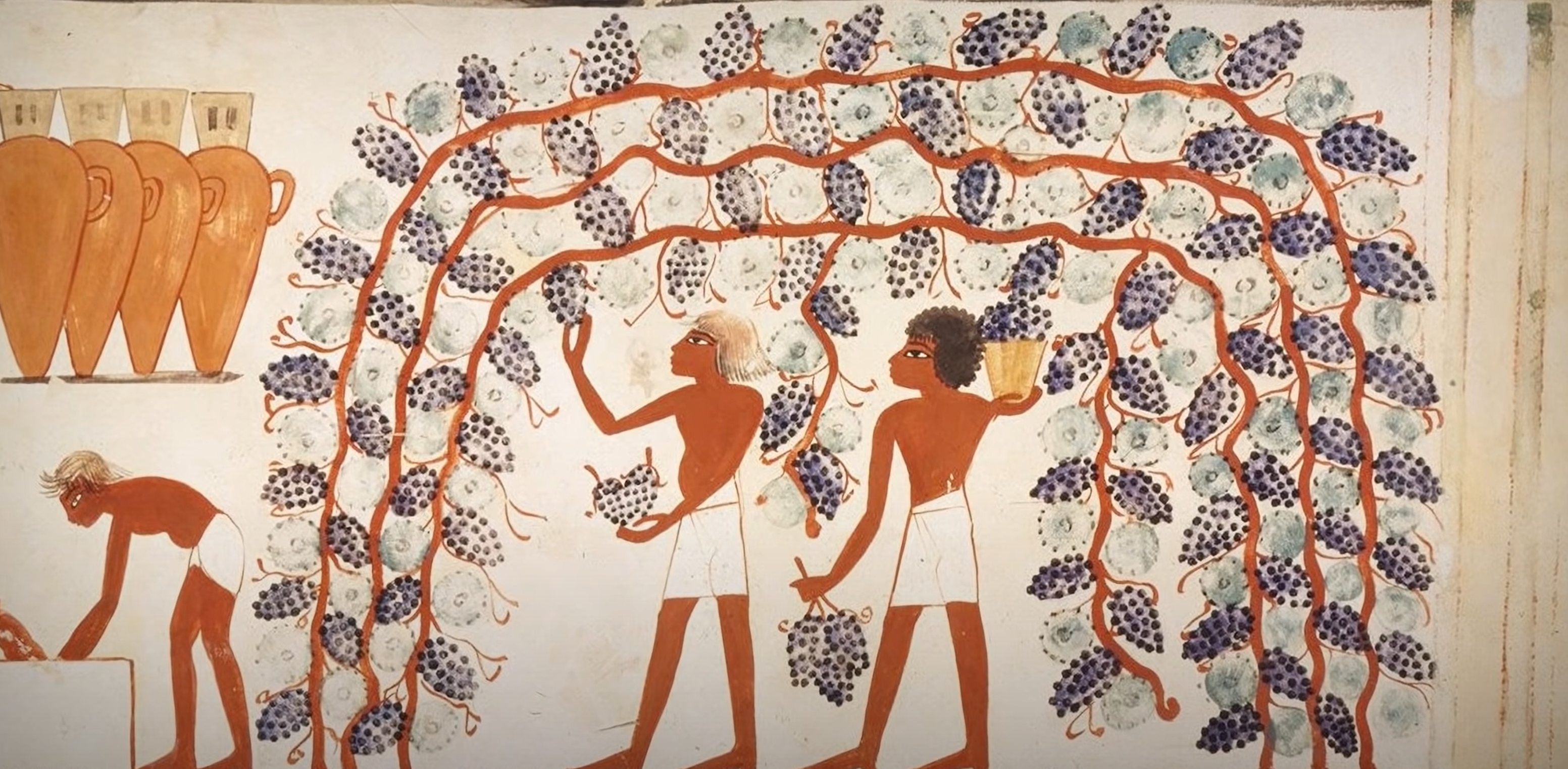 고대 이집트의 와인제조과정을 그린 그림