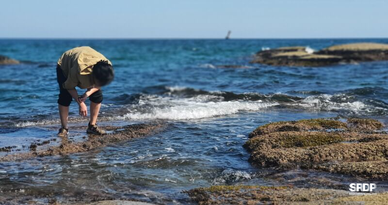 아야진-해변-해수욕장-스위밍터틀-강원도-고성-오션뷰-카페
