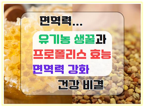 유기농 생꿀과 프로폴리스의 효능: 면역력 강화와 건강 비결