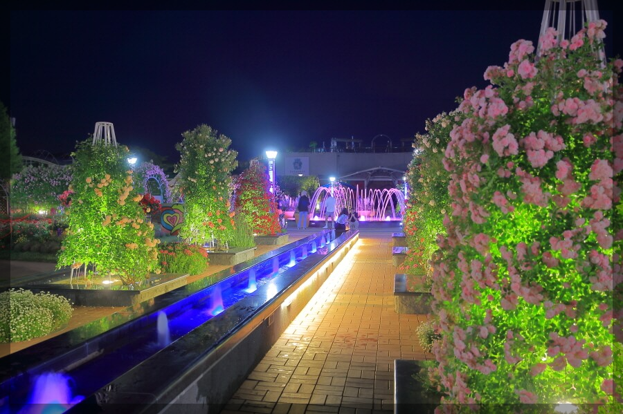 2024곡성장미축제 기간 내용 입장료 주차장 숙박[총정리]