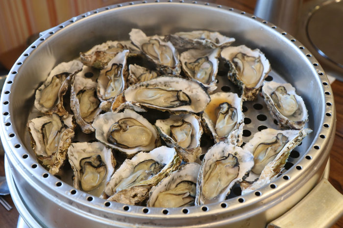 MBC 생방송 오늘 저녁 생멸치쌈밥 콤비식당