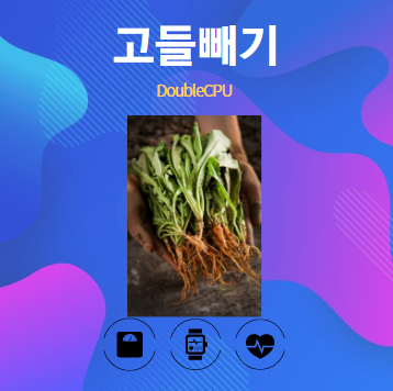 고들빼기 알아보기