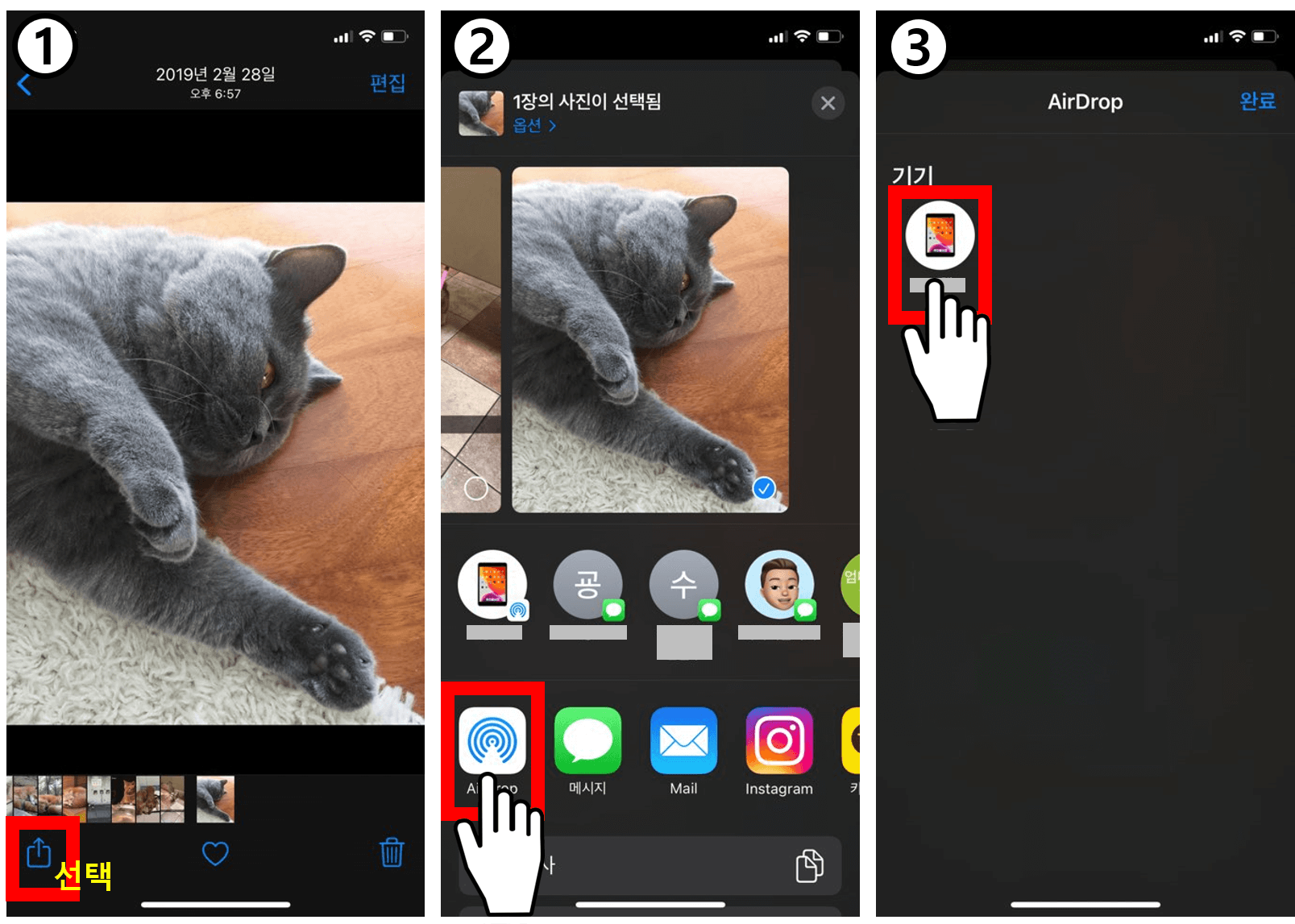 사진첩에서-사진-선택하면-나오는-화면