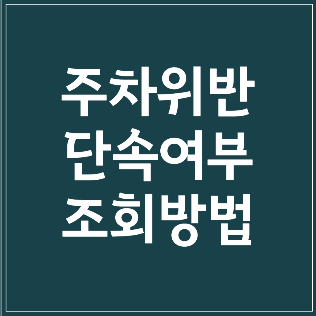 주차위반 단속여부 조회방법