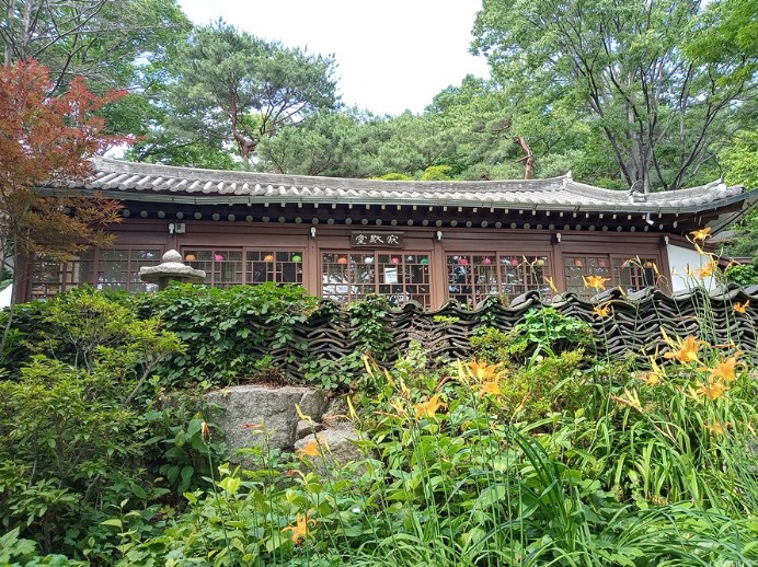 나리꽃이 피어있는 모습