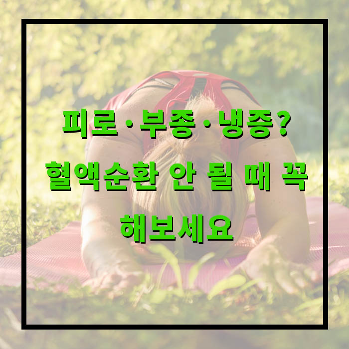 피로·부종·냉증? 혈액순환 안 될 때 꼭 해보세요