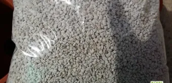 펄라이트 흙 배합 통기성향상 과습방지 실내식물 건강 업그레이드_9