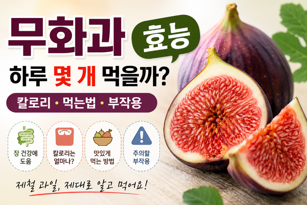 무화과 효능｜하루 몇 개 먹을까? 칼로리&middot;먹는법&middot;부작용&middot;보관까지