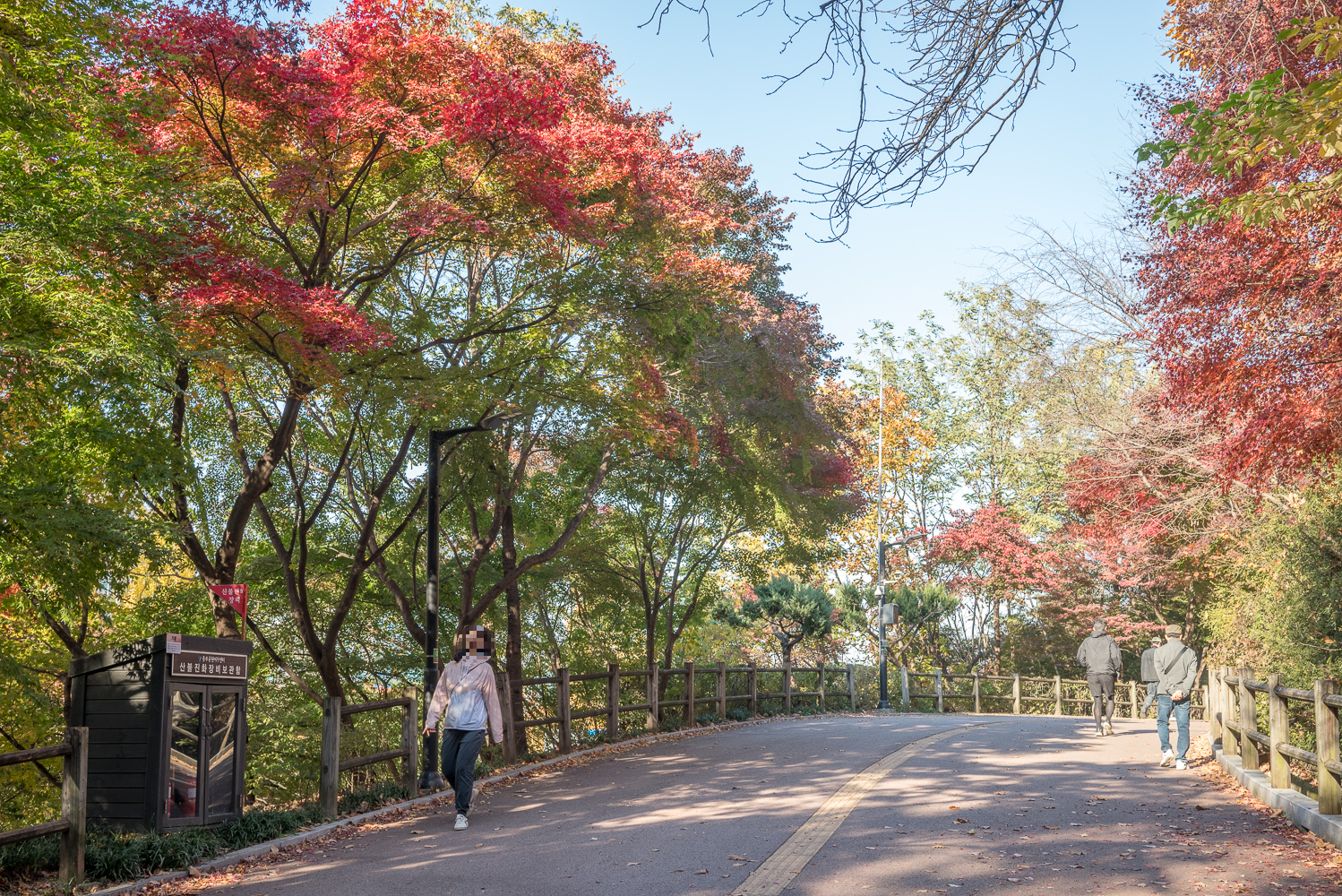 남산둘레길 북측순환로 단풍