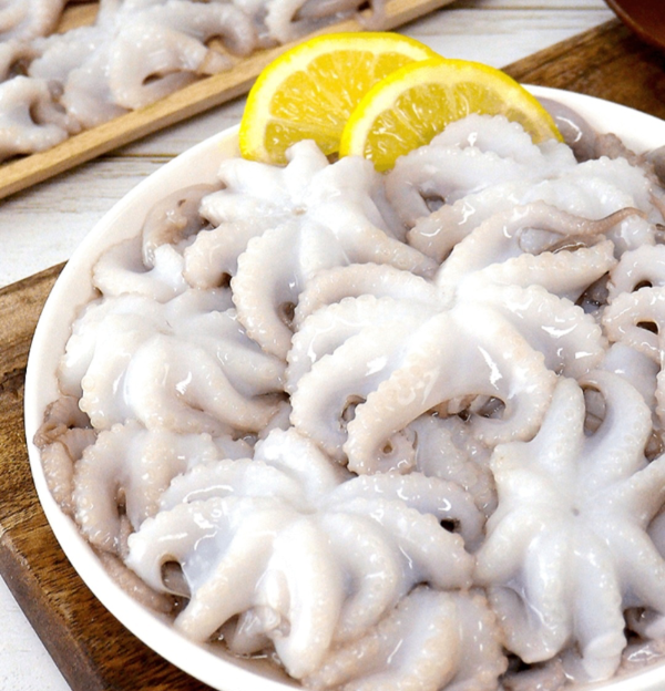 5월 제철 식재료, 주꾸미