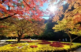 순창 강천산군립공원 2025 가을 단풍 여행, 맛집, 절정시기_32