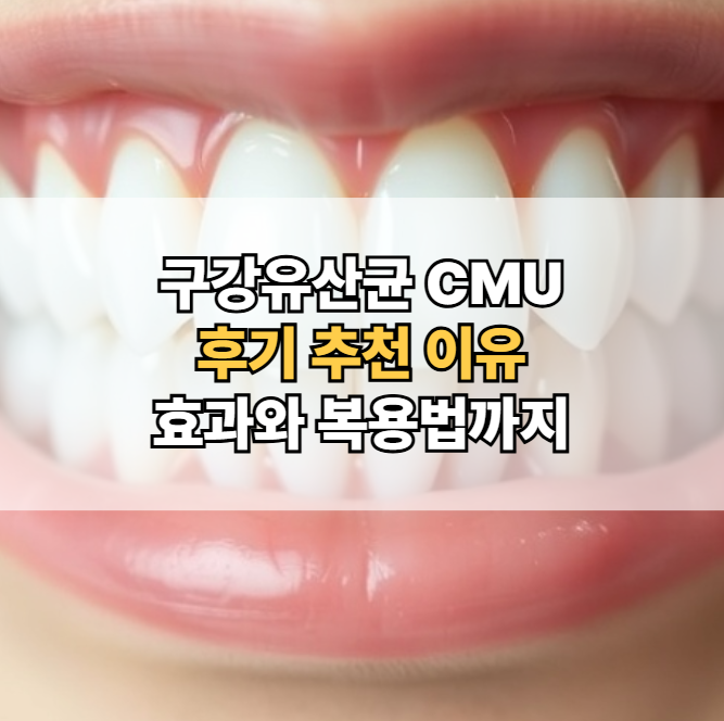 구강유산균-CMU-추천-효과-후기-복용법
