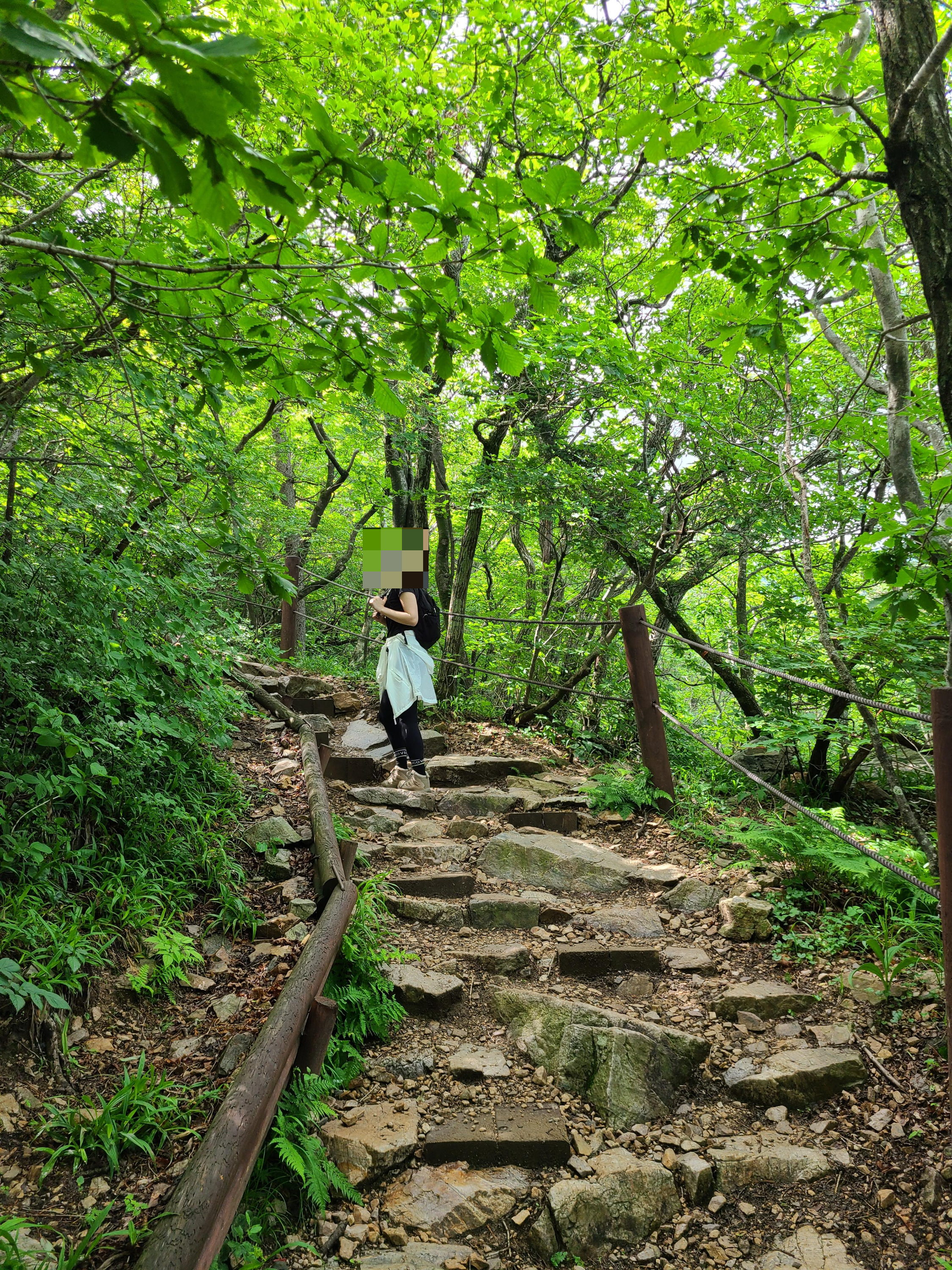 태백산